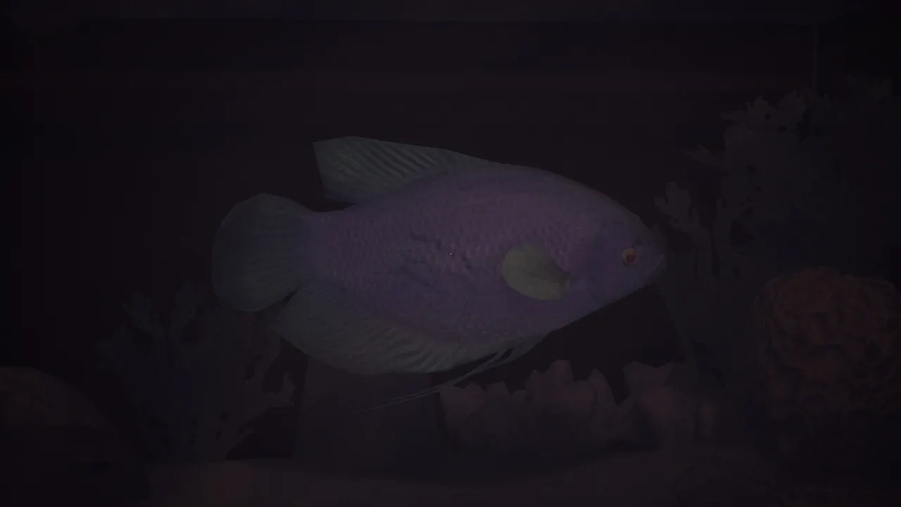 Halu - The Fish screenshot 6