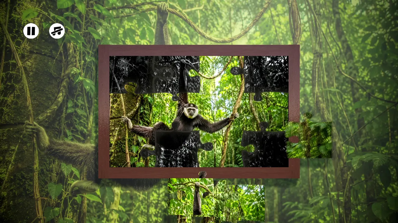 Puzzles: Monkey screenshot 2