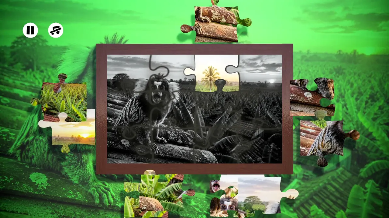 Puzzles: Monkey screenshot 3