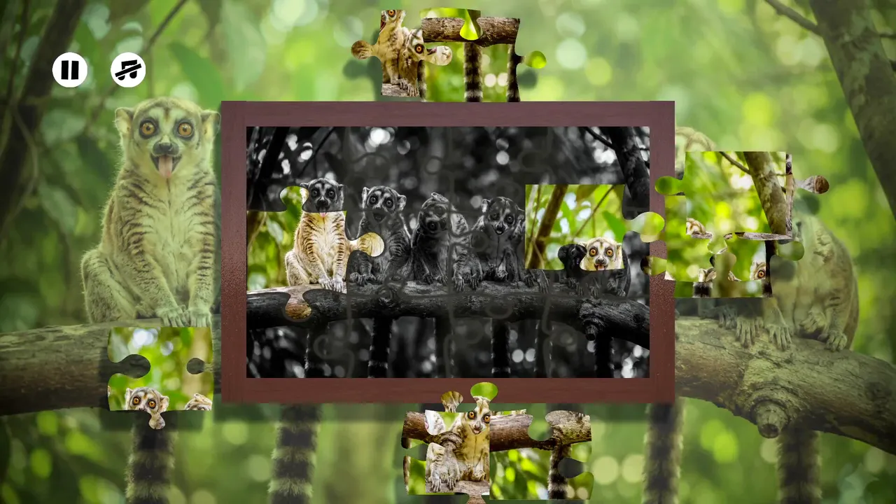 Puzzles: Monkey screenshot 4