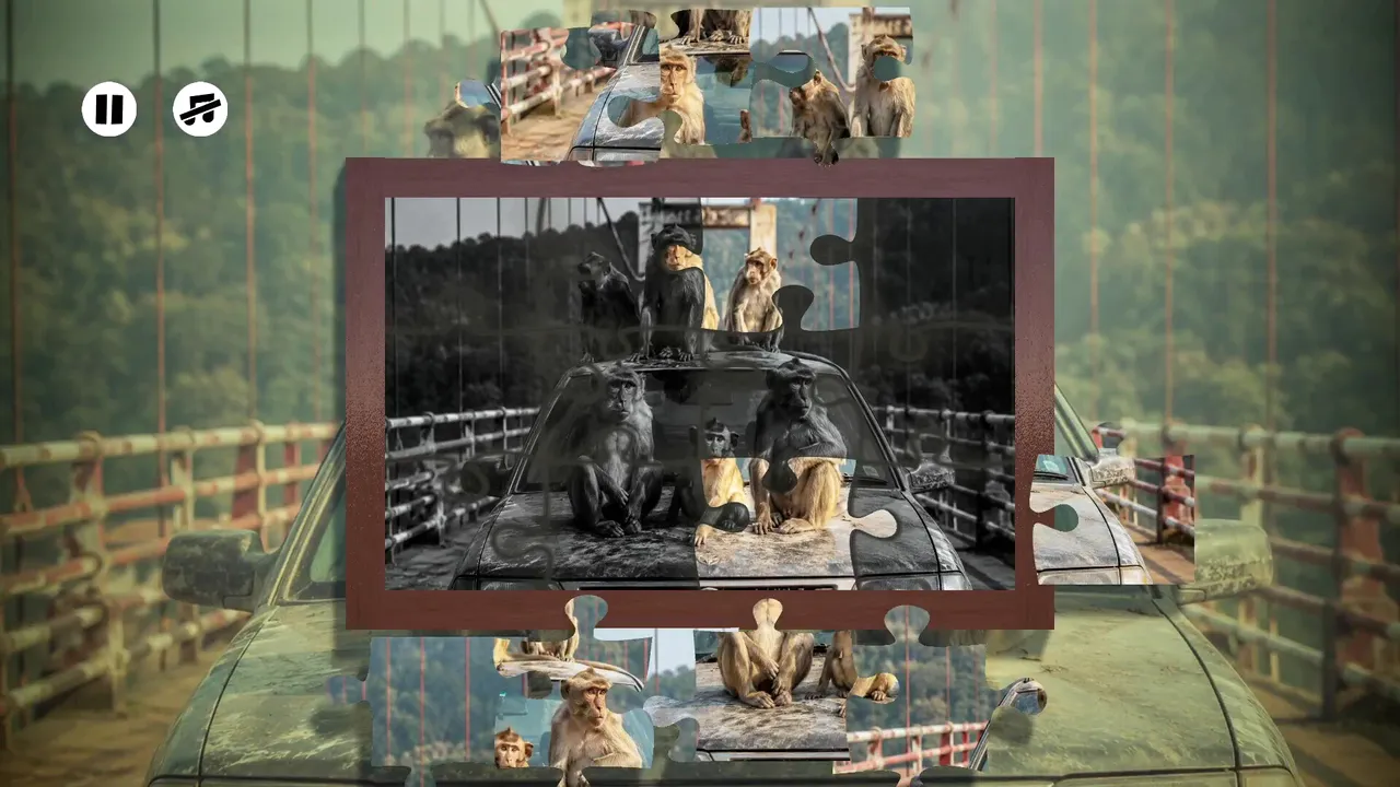 Puzzles: Monkey screenshot 5