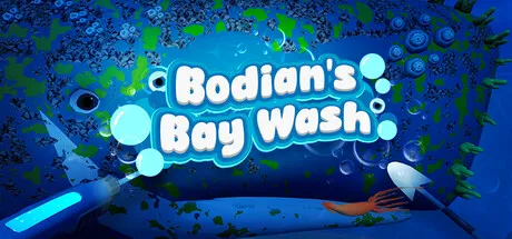 Bodian's Bay Wash cover art