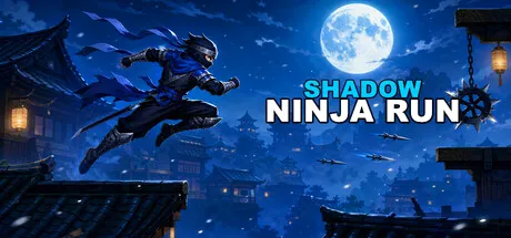 Shadow Ninja Run cover art