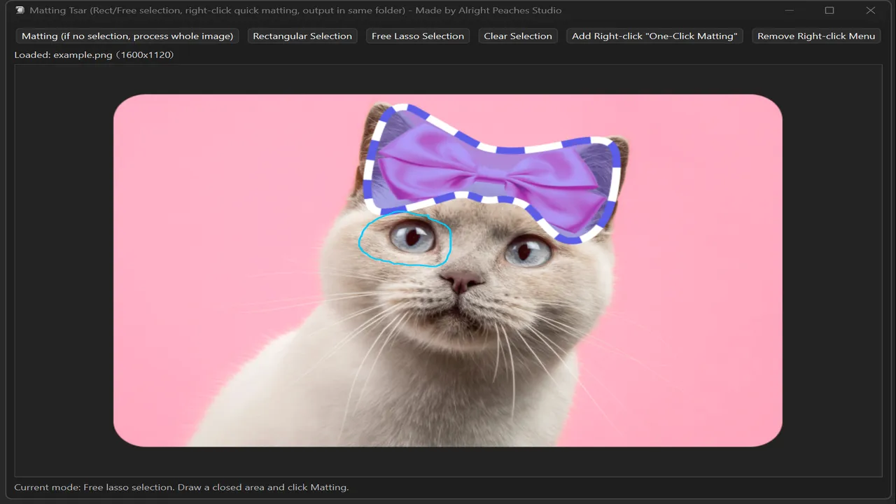 Matting Tsar screenshot 4