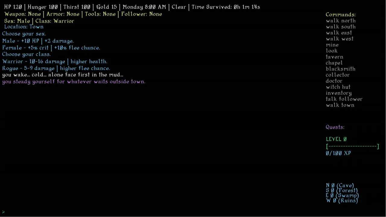 Dark Hollow RPG screenshot 2